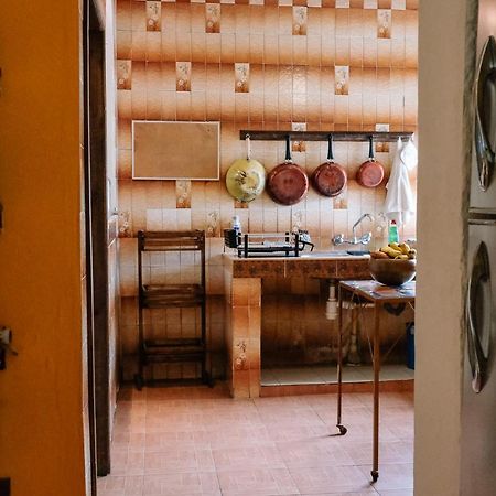 Sunshine House - Made By Artists Villa Oaxaca Bagian luar foto